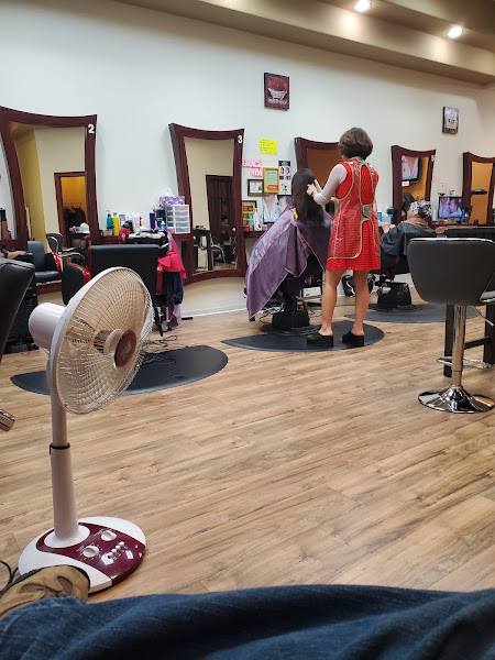 Hair Story 2