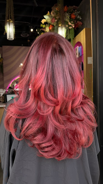 Anomalía Beauty Society - Carrollton 4
