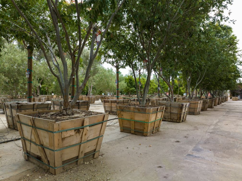Moon Valley Nurseries 3