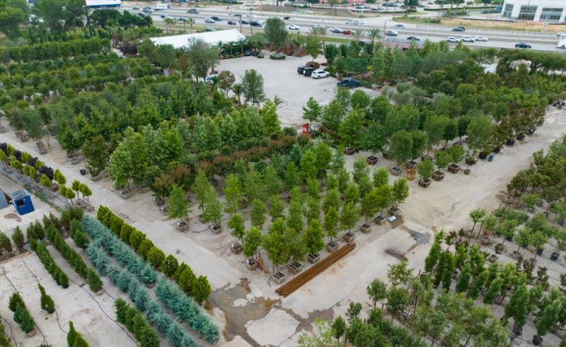 Moon Valley Nurseries 4