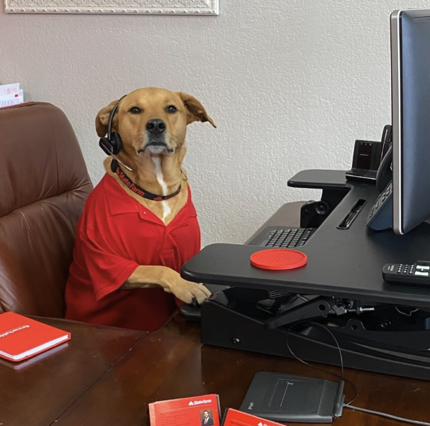 Nick Fincham - State Farm Insurance Agent 3
