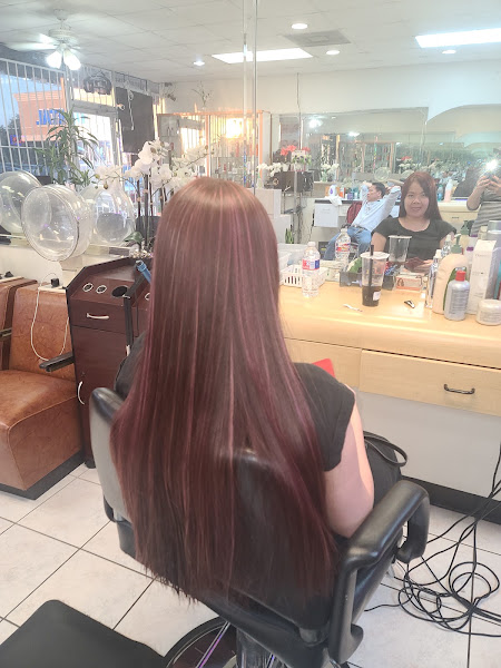 Hanh's Salon 3
