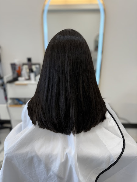 Bellaire Hair Salon 2
