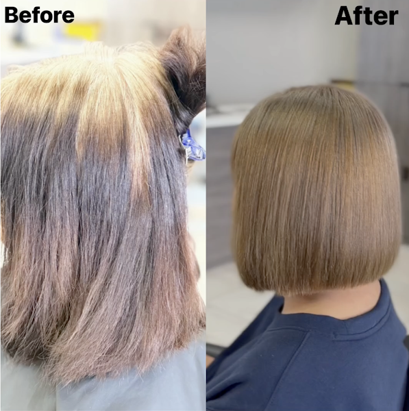 Bellaire Hair Salon 5