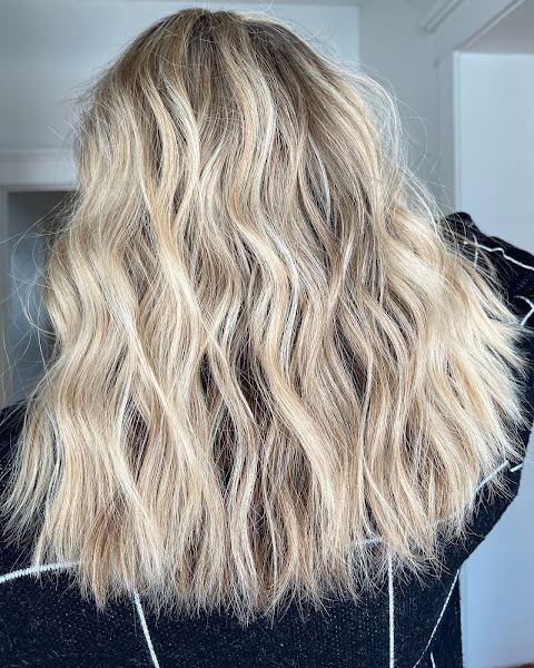 SalonTrose HTX 4