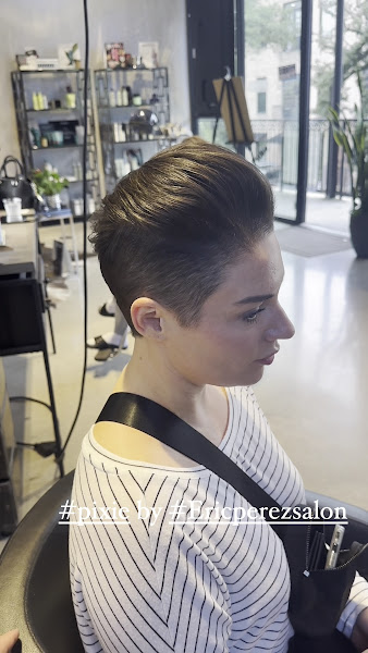 Eric Perez Salon 2