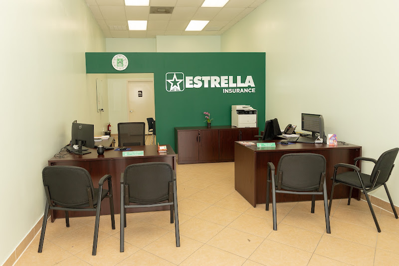 Estrella Insurance #313 3