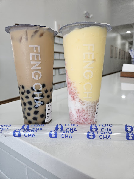 FENG CHA LAB 5