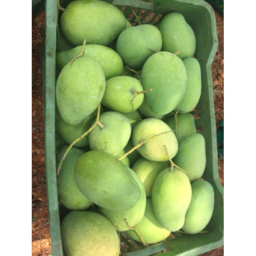 MyHomeGrocers 4