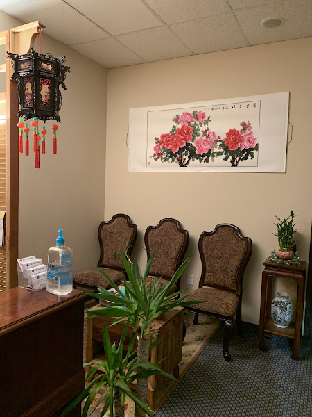 L Z Foot Spa & massage 3