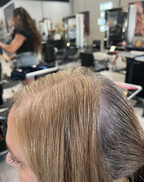 Salon Di Lusso 5