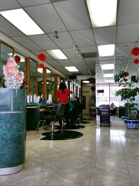 Beauty Ann Hair Salon 5
