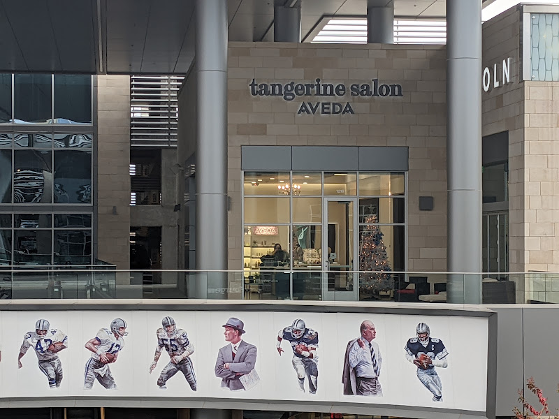 Tangerine Salon 4