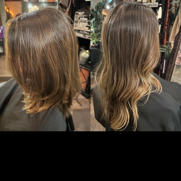 The Hair Studio Frisco 2