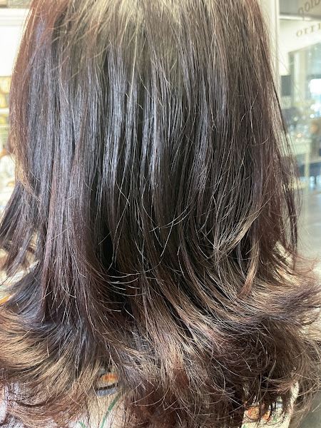 Ziba's Beauty Salon 2