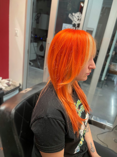 Dani Gunn Hair Studio