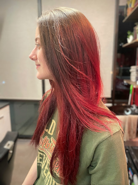 Dani Gunn Hair Studio 3