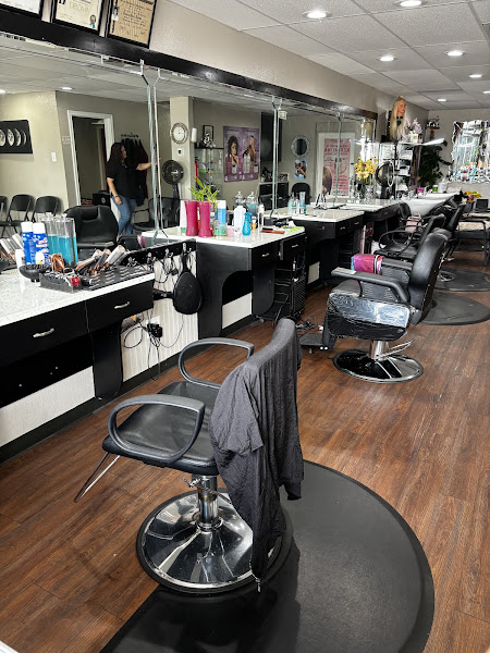 Fantasy Hair Salon 3