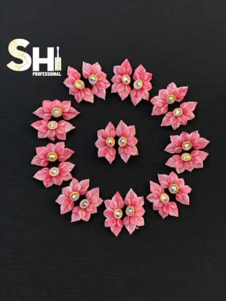 SHi Professionals 2