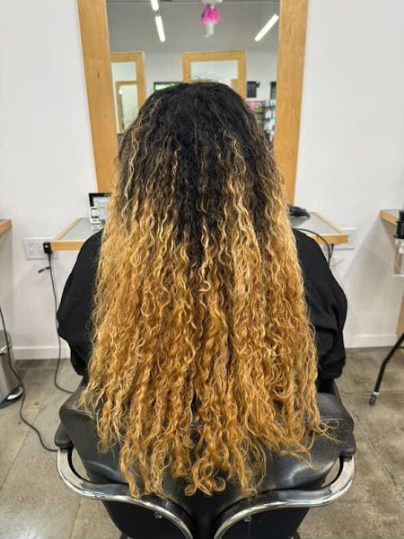 Radar Salon
