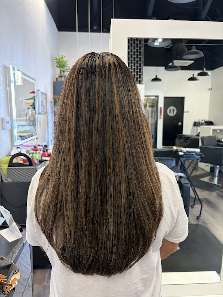 Tinted Brush Hair Salon