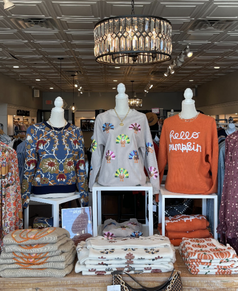 Apricot Lane Boutique 3