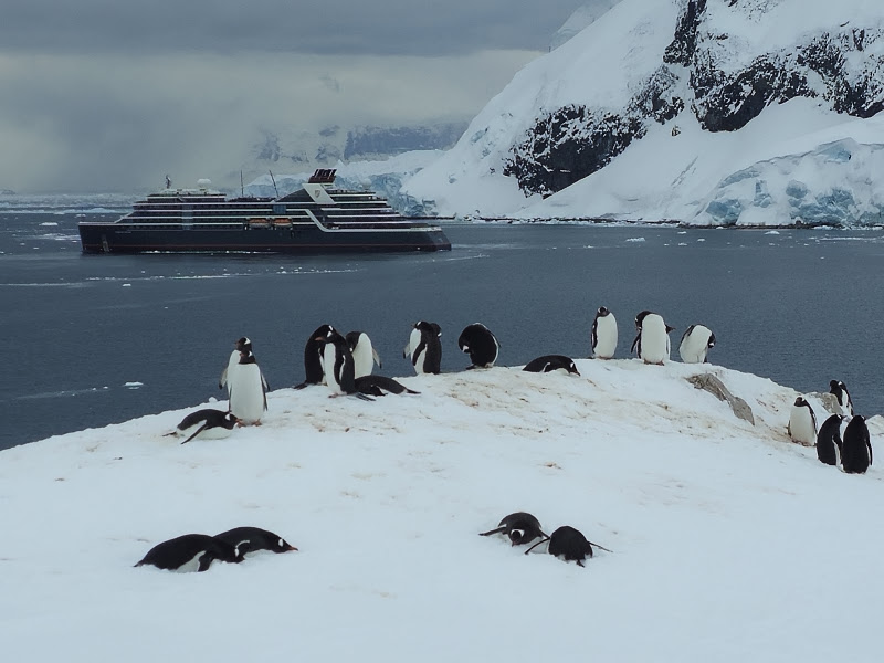 Expedia Cruises