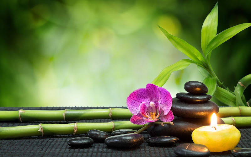 Essential Massage 3