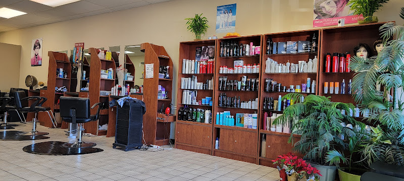 Top Hair Salon 2
