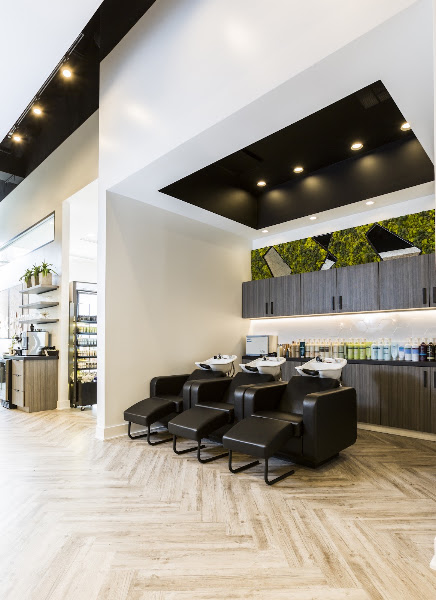 Lavish Salon 4