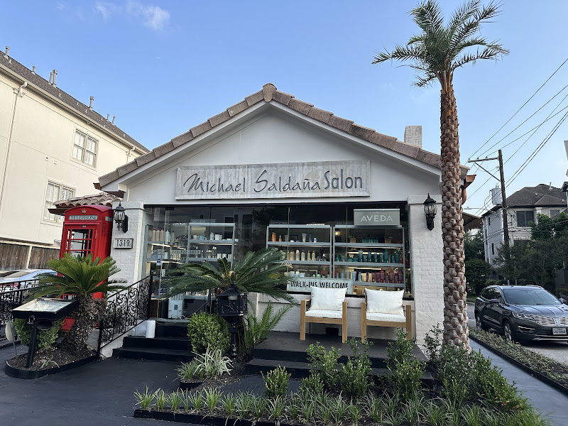 Michael Saldana Salon 2