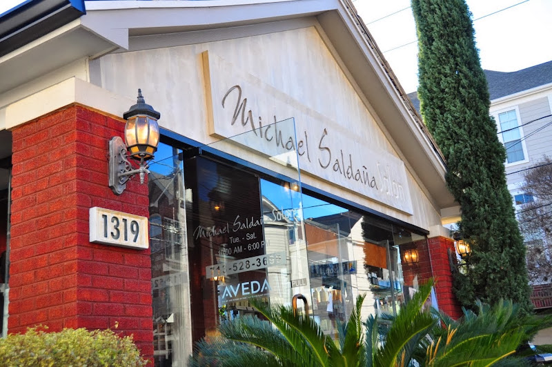 Michael Saldana Salon 3