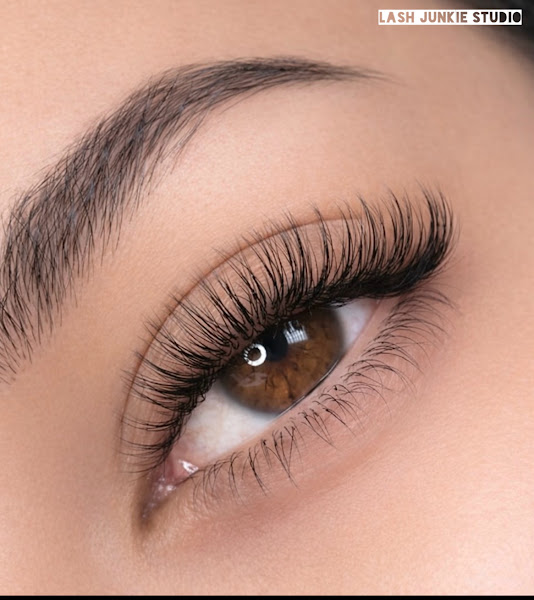 Lash Junkie Studio - Pearland 3