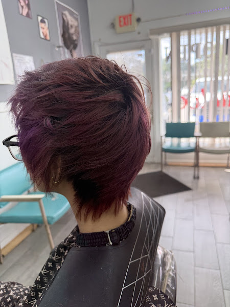 Hair By Paul 2