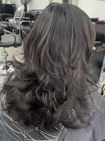 Hair By Paul 4