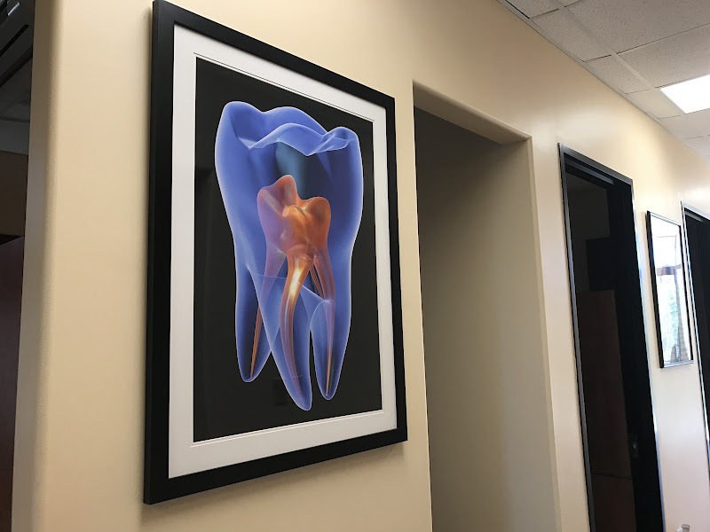Harmony Dental 5