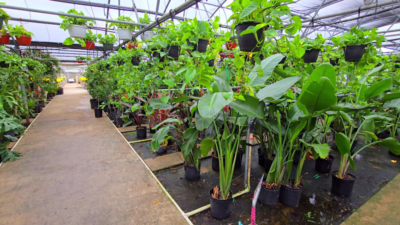 Joseph's Nursery 2