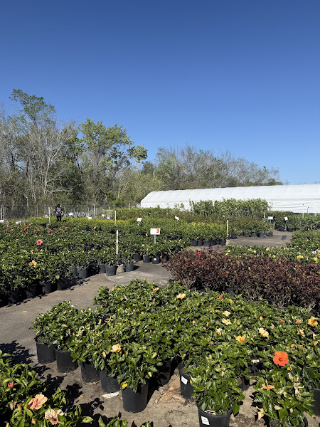 Joseph's Nursery 4