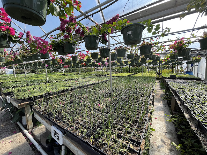 Doan's Nursery Inc 5