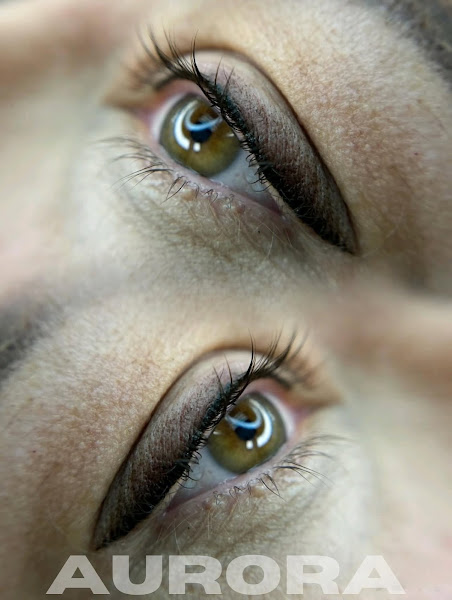 Hello Aurora | Luxury Cosmetic Tattoo | Nano Brows Temecula | Microblading | Tattoos 4