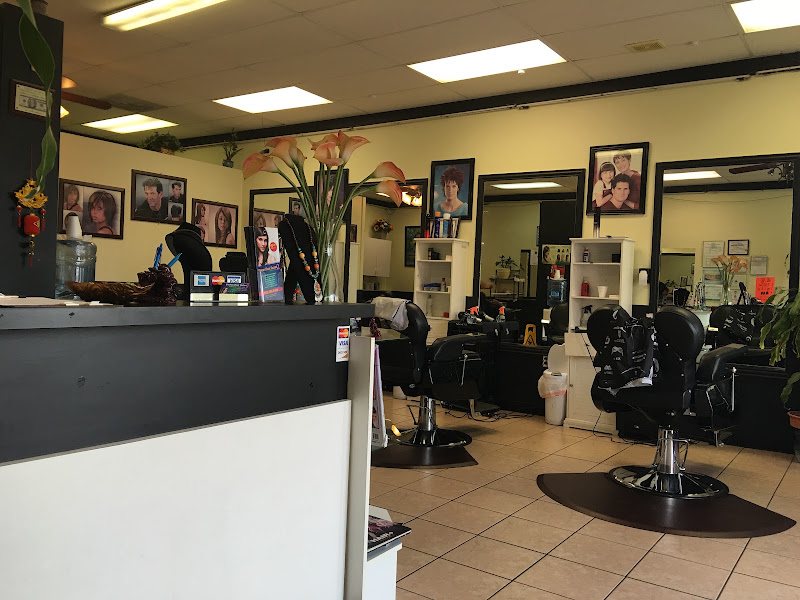 Vision Hair Salon2 3