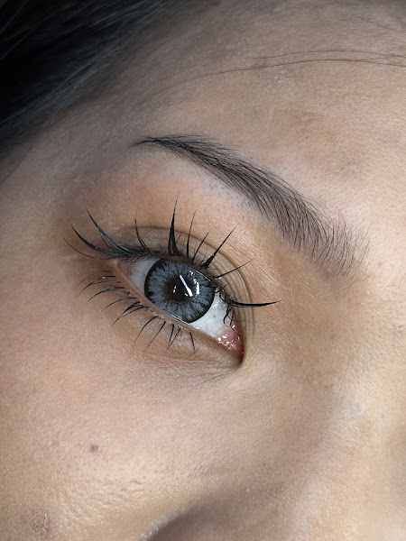 Brow Lash Artistry