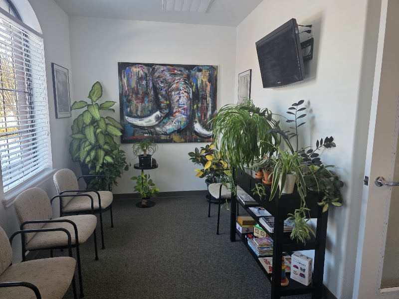 Dr. Vilija B. Thomas, DDS 5