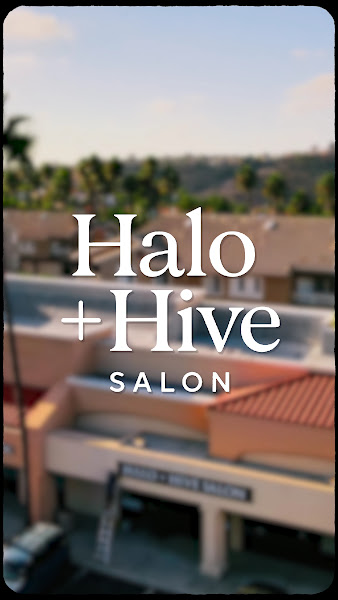 Halo and Hive Salon 2