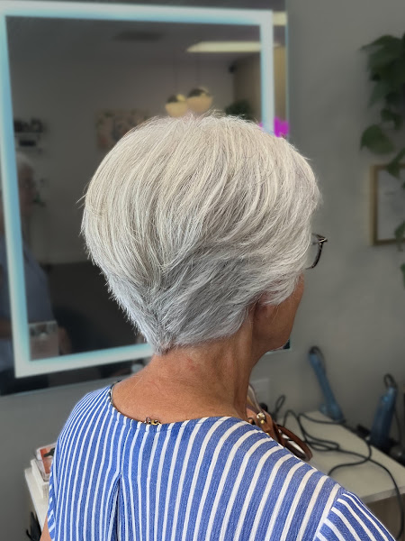 Halo and Hive Salon 3