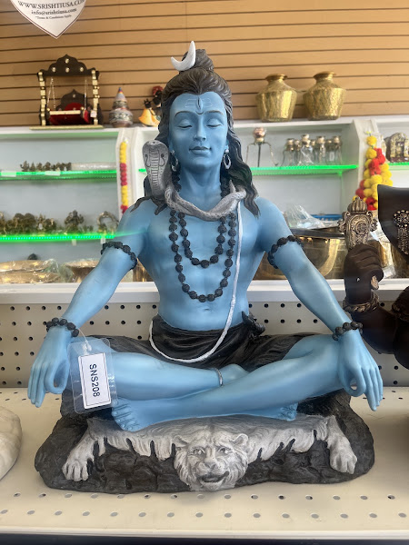 SRISHTI 5