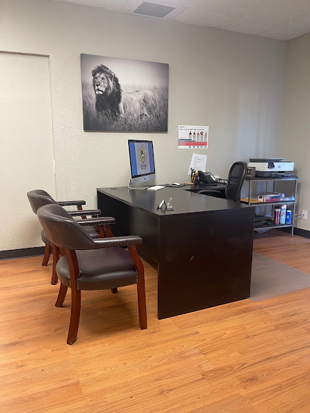 The Lion Insurance Agency, LLC 2