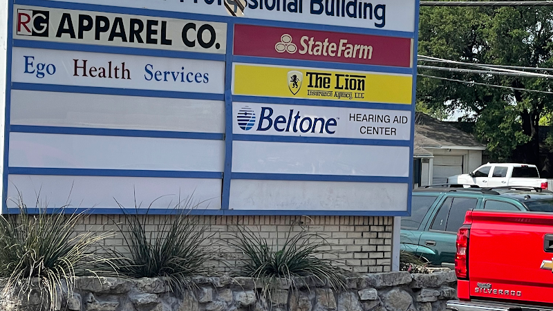 The Lion Insurance Agency, LLC 4