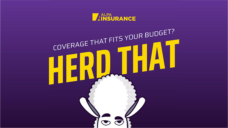 ALPA Insurance 4