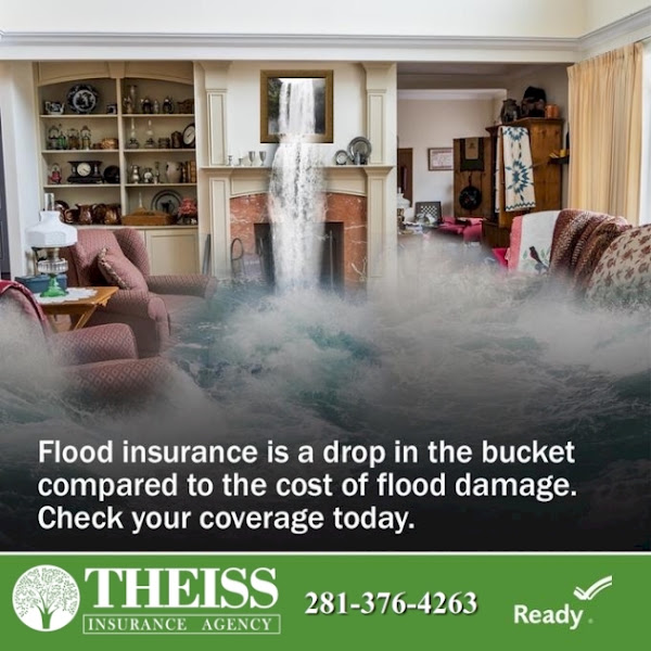 Theiss Insurance Agency 5